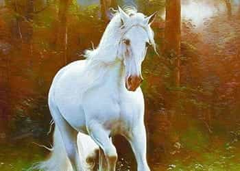 A beautiful white horse in a field.