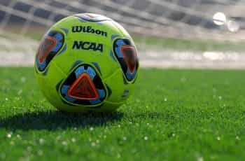 The FIFA trophy next to a soccer ball on a soccer field.